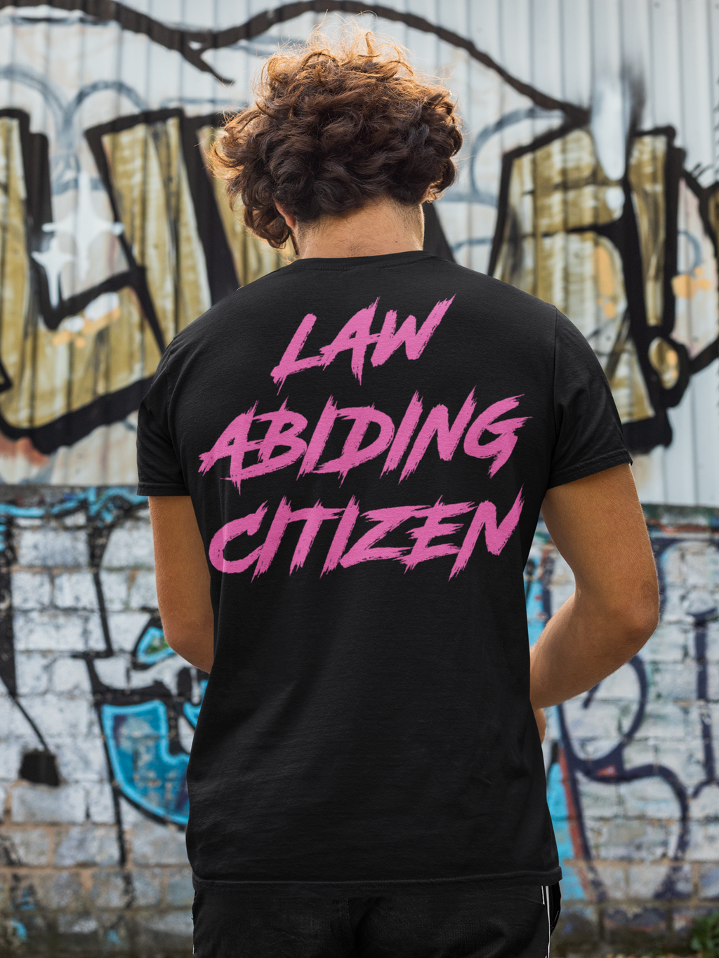 Law Abidding Citizen