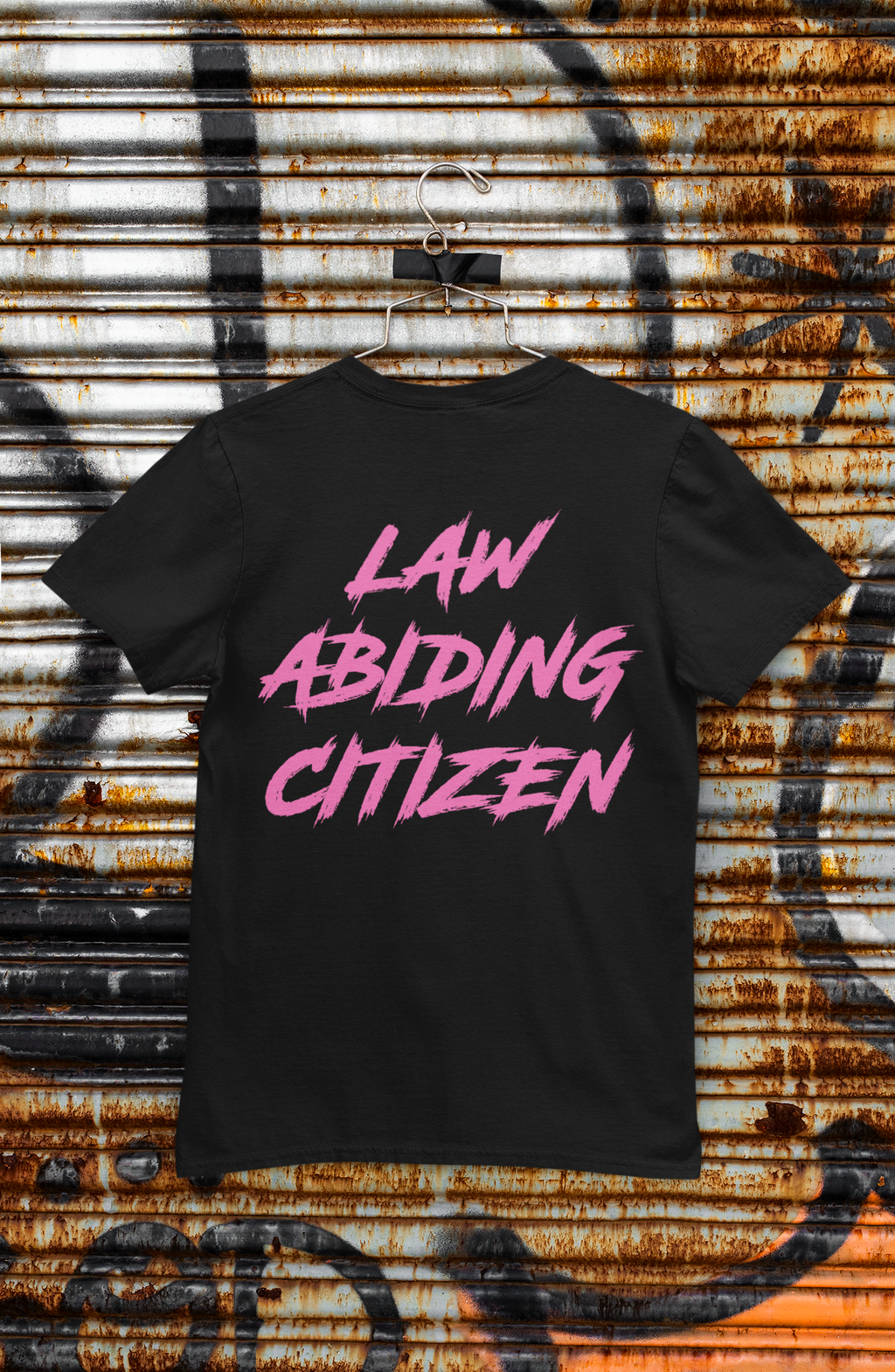 Law Abidding Citizen